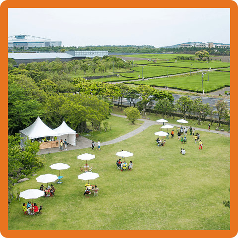 Establish community hubs